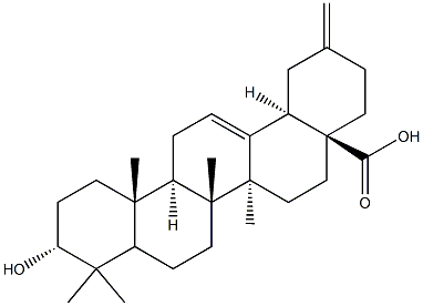 3alpha-Akeboic acid