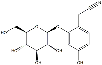 Ehretioside B