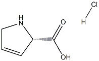 3,4-Dehydro-L-proline hydrochloride