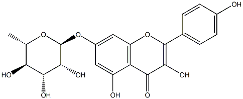 KaeMpferol 7-O-rhaMnoside