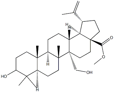 3,27-Dihydroxy-20(29)-lupen-28-oic acid Methyl ester