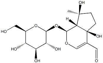 EUPHROSIDE