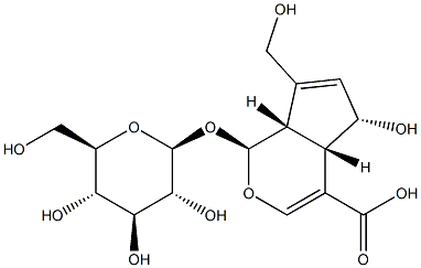 (1S,4aS,5S,7aS)-1-(b-D-Glucopyranosyloxy)-1,4a,5,7a-tetrahydro-5-hydroxy-7-(hydroxymethyl)cyclopenta[c]pyran-4-carboxylic acid