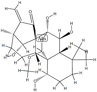 Rabdoternin F