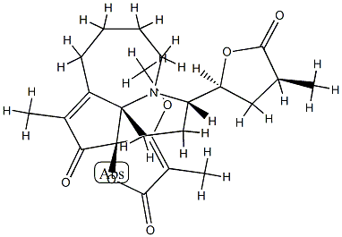 ProtosteMotinine