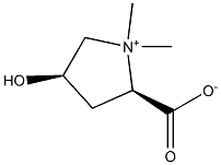 Stachydrine