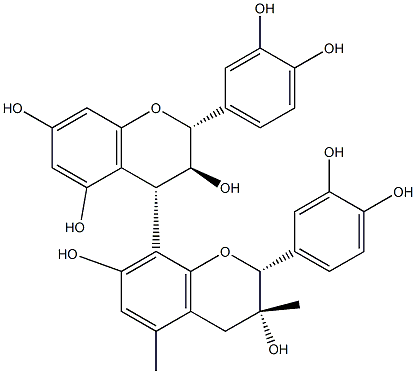 Grape Seed Extract