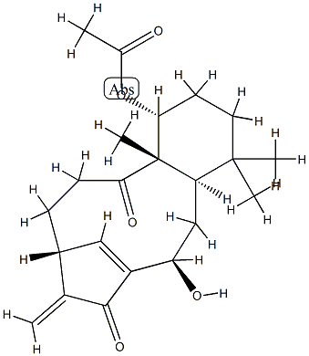 Kongensin A