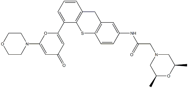 KU-60019