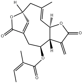 Scabertopin