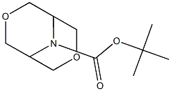 Tert-butyl 3,7-dioxa-9-azabicyclo[3.3.1]nonane-9-carboxylate