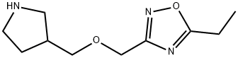 5-Ethyl-3-(pyrrolidin-3-ylmethoxymethyl)-[1,2,4]oxadiazole
