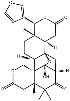 Senegalide