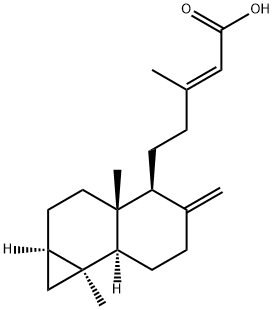 Metasequoic acid A