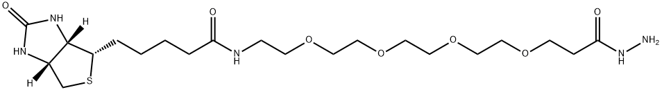(+)-Biotin-PEG4-Hydrazide