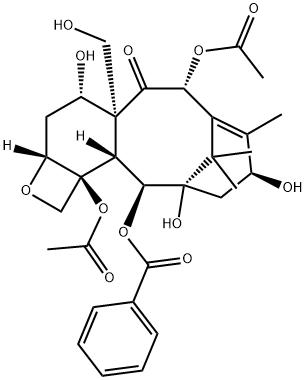 19-hydroxybaccatin III