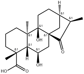 Pterisolic acid D