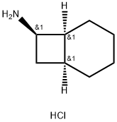 rac-(1R,6R,7S)-bicyclo[4.2.0]octan-7-amine hydrochloride