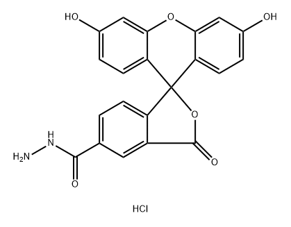 5-FAM hydrazide HCl