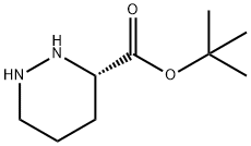 (S)-tert-butyl piperazine-3-carboxylate