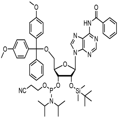 N-Benzoyl-5'-O-(4,4-Dimethoxytrityl)-2'-O-[(tert-butyl)dimethylsilyl]adenosine-3'-(2-cyanoethyl-N,N-diisopropyl)phosphoramidite