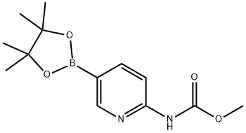 2-MethoxycarbonylaMinopyridine-5-boronic acid