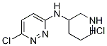 (6-Chloro-pyridazin-3-yl)-piperidin-3-yl-aMine hydrochloride