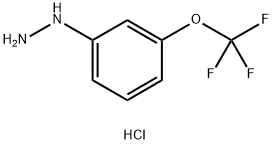 (3-TRIFLUOROMETHOXY-PHENYL)-HYDRAZINE HYDROCHLORIDE