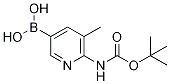 2-tert-ButyloxycarbonylaMino-3-Methylpyridine-5-boronic acid