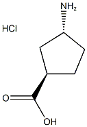 trans-3-aminocyclopentane-1-carboxylic acid hydrochloride