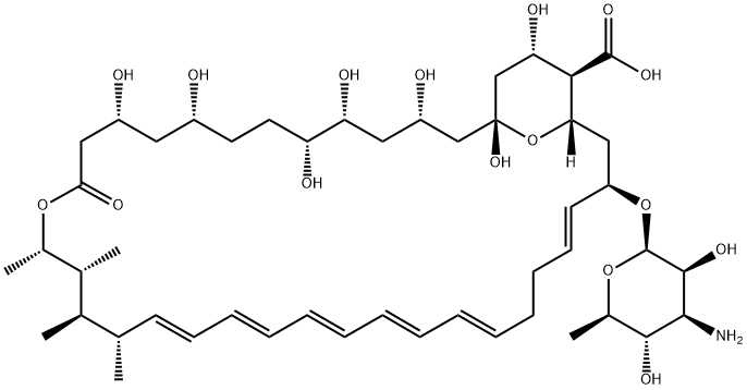 Amphotericin B