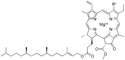 CHLOROPHYLL