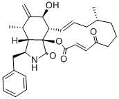 CYTOCHALASIN A