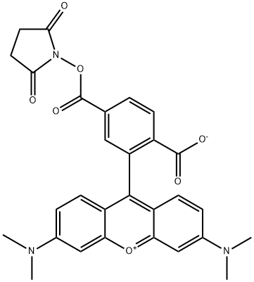 6-Carboxytetramethylrhodamine succinimidyl ester