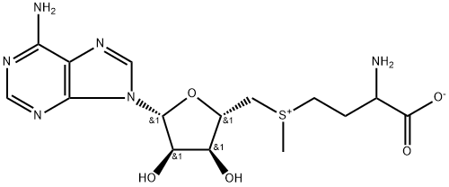 S-ADENOSYL-L-METHIONINE