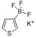 POTASSIUM 3-THIOPHENETRIFLUOROBORATE