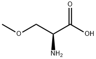 DL-O-METHYLSERINE