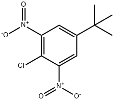 2-Chloro-5-(1,1-dimethylethyl)-1,3-dinitrobenzene