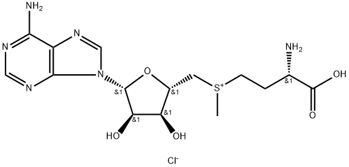 S-ADENOSYL-L-METHIONINE CHLORIDE SALT