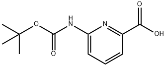 6-TERT-BUTOXYCARBONYLAMINO-PYRIDINE-2-CARBOXYLIC ACID