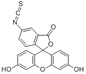 Fluorescein isothiocyanate 