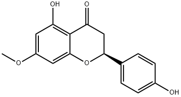 SAKURANETIN