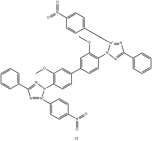 Nitrotetrazolium blue chloride