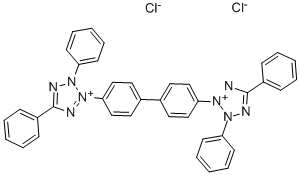 Neotetrazolium chloride