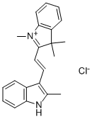 BASIC ORANGE 21