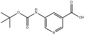 5-TERT-BUTOXYCARBONYLAMINO-PYRIDINE-3-CARBOXYLIC ACID