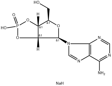 ADENOSINE-2':3'-CYCLIC MONOPHOSPHATE, SODIUM SALT