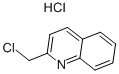 2-(Chloromethyl)quinoline hydrochloride