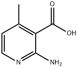 2-AMINO-4-METHYLNICOTINIC ACID,
