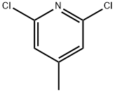 2,6-Dichloro-4-picoline 